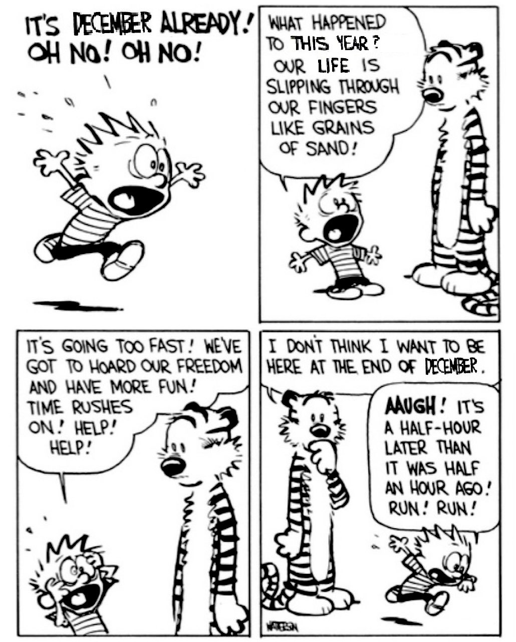 Calvin and Hobbes Comic